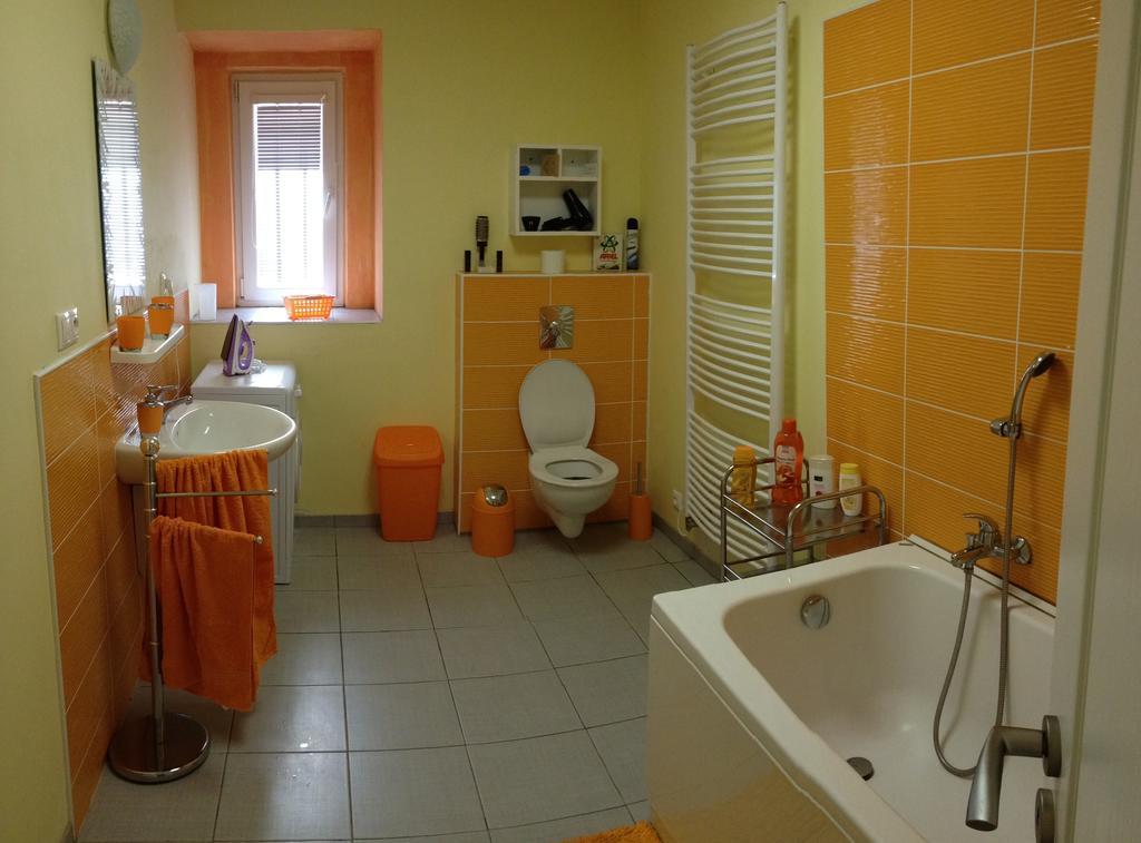 Apartments Vera カルロヴィ・ヴァリ 部屋 写真